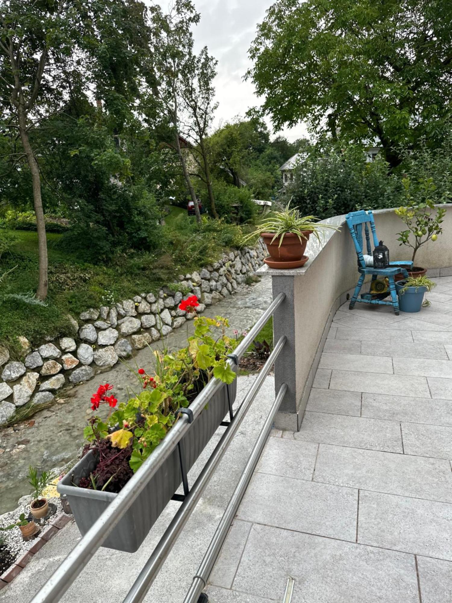 Hisa Sreco Apartment Begunje na Gorenjskem Ngoại thất bức ảnh