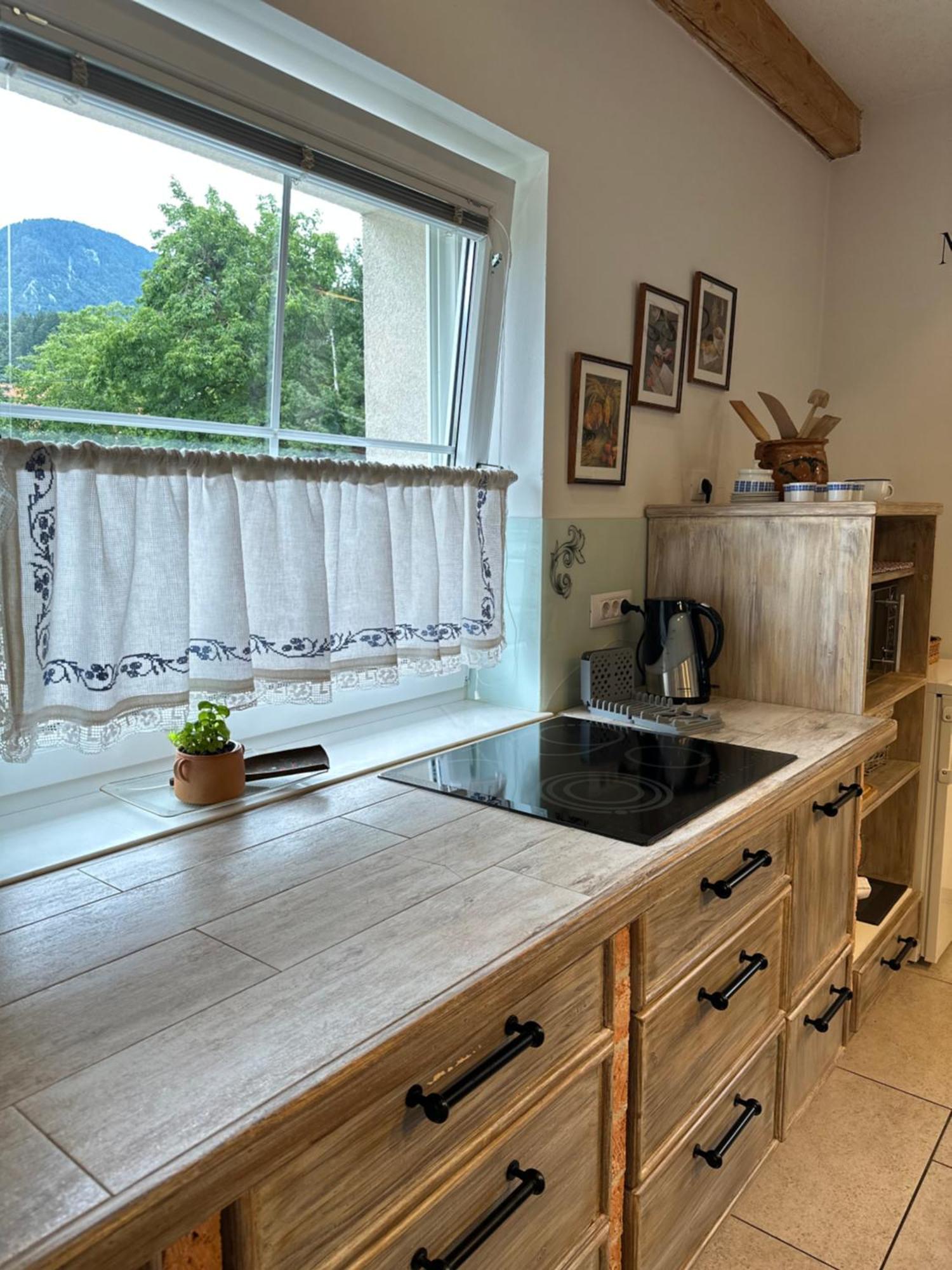Hisa Sreco Apartment Begunje na Gorenjskem Ngoại thất bức ảnh