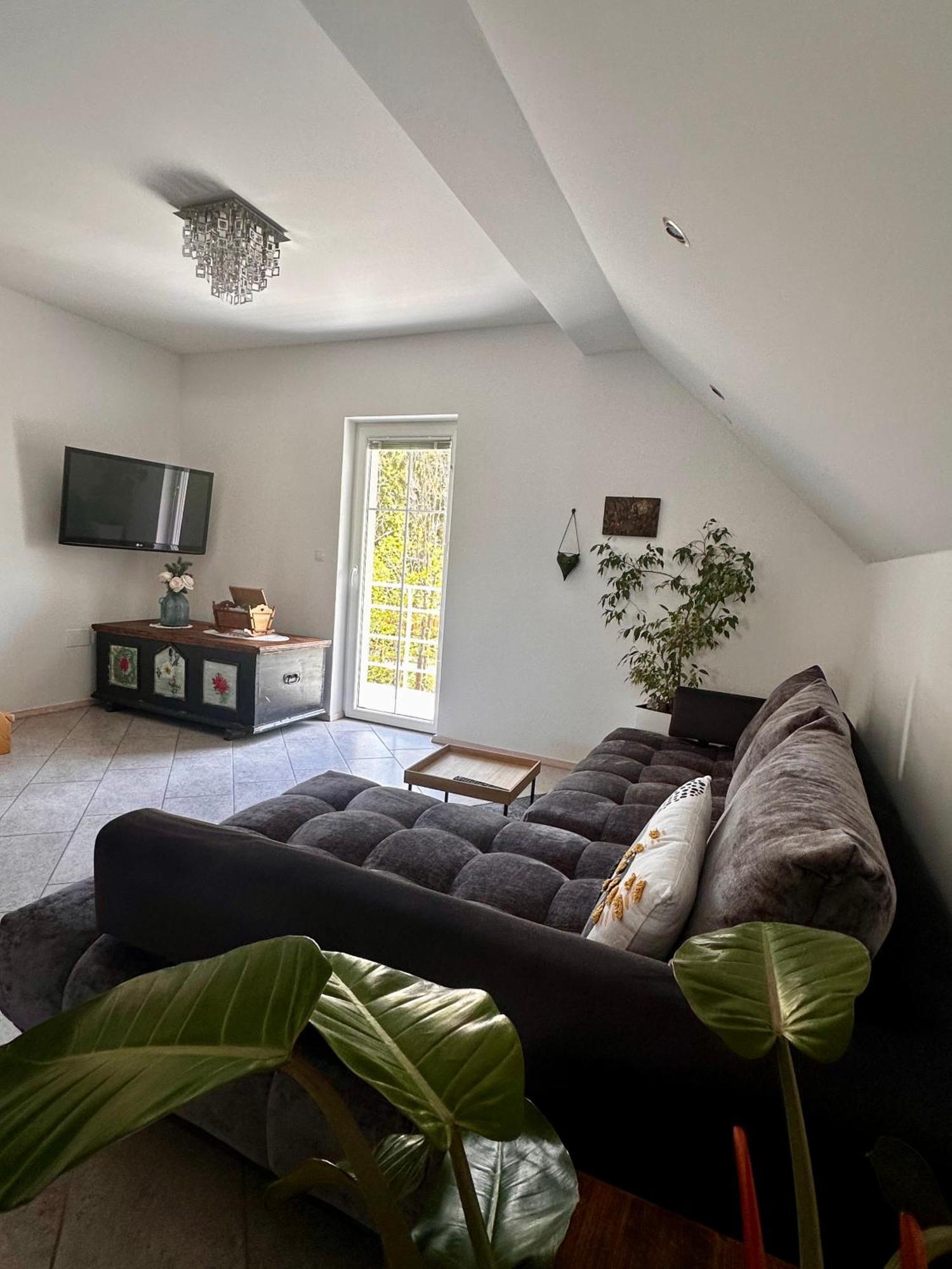 Hisa Sreco Apartment Begunje na Gorenjskem Ngoại thất bức ảnh